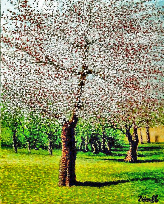 /